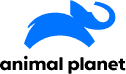 2018_Animal_Planet_logo