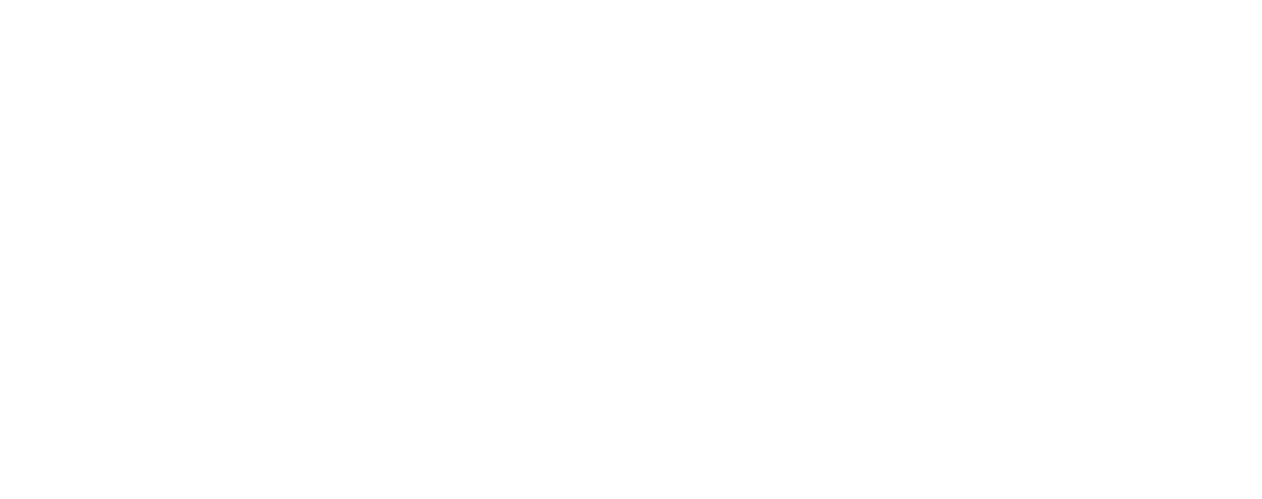 LCI_Stirista_Solution_Logo_White